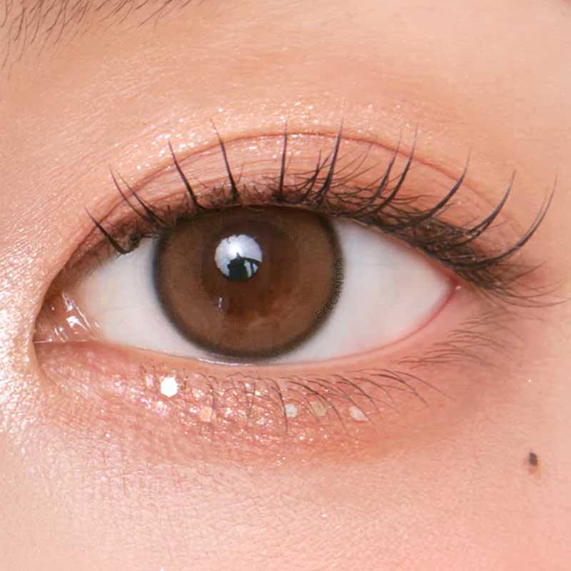 Aery Rose Lucid Brown (10pk)