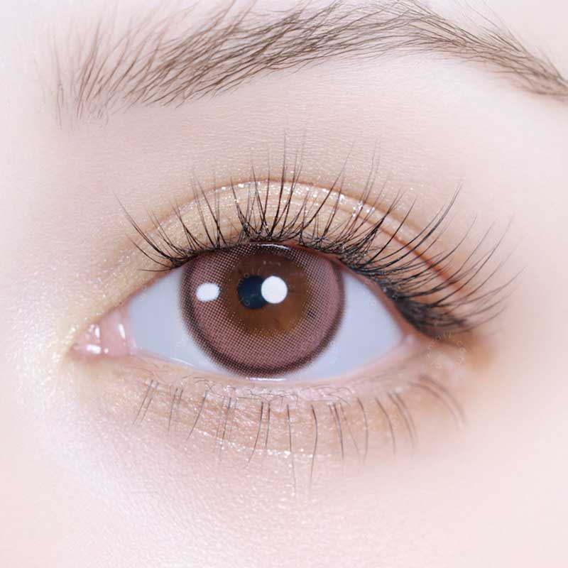 1-Day Dried Rose (10pk)