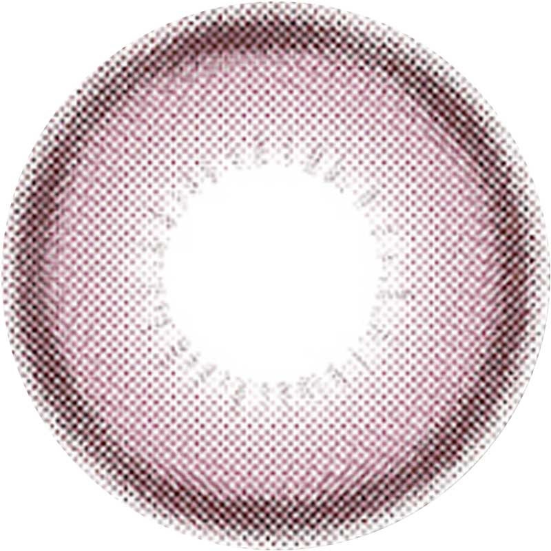 1-Day Dried Rose (10pk)