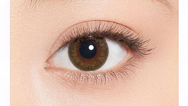 1-Day Layer Almond Brown (10pk)