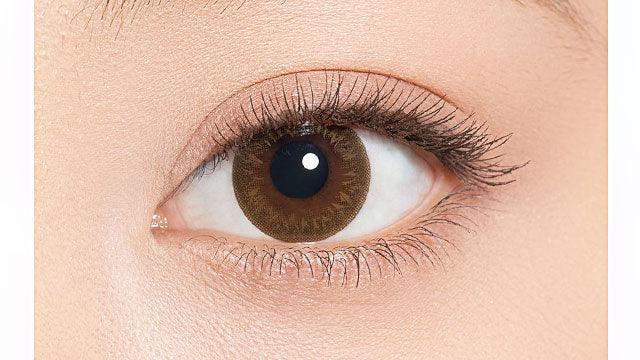 1-Day Layer Marron Brown (10pk)