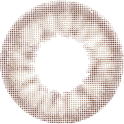 1-Day Smokey Beige (10pk)