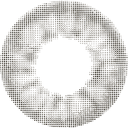 1-Day Smokey Grey (10pk)