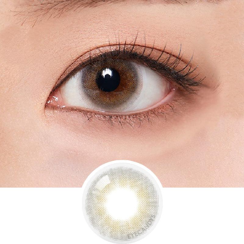 1-Day Able Grey (10pk)