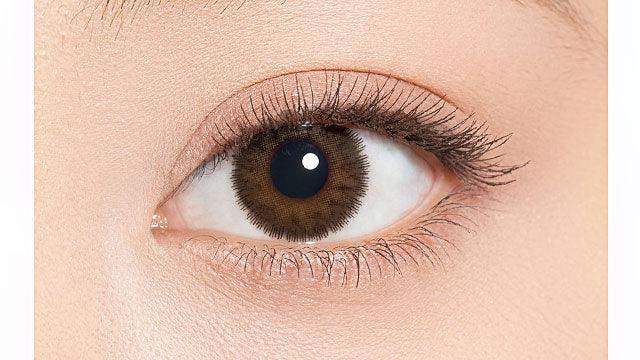 1-Day Virgin Cocoa Brown (10pk)