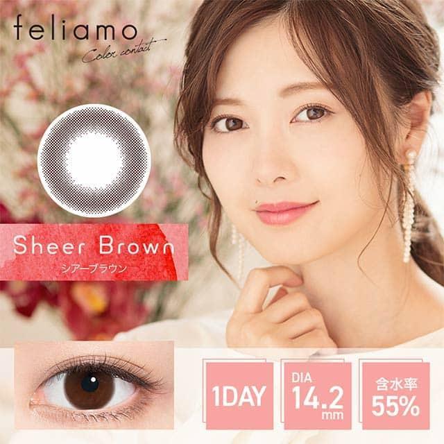 1-Day Sheer Brown (10pk)