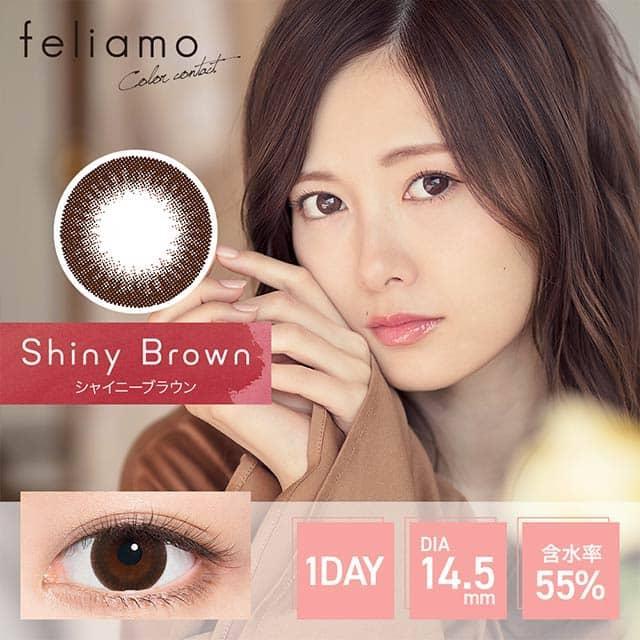 1-Day Shiny Brown (10pk)