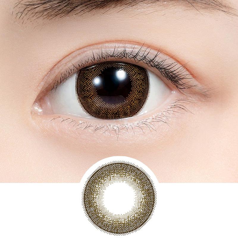 1-Day Chestnut (10pk)