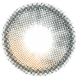 1-Day Oriana Shade Grey (10pk)