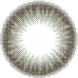 1-Day Olive Brown (10pk)