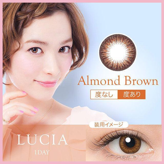 1-Day Almond Brown (10pk)