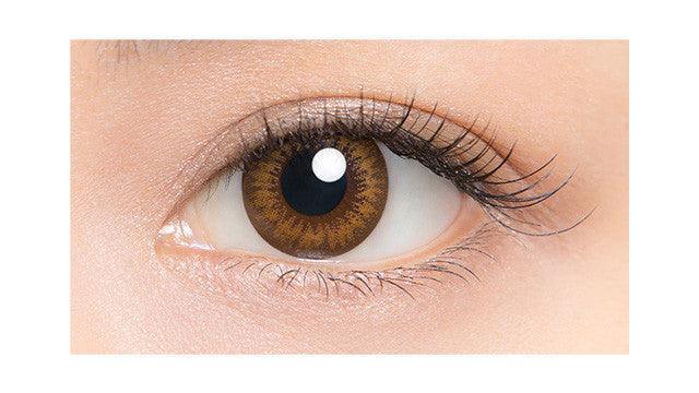 1-Day Almond Brown (10pk)