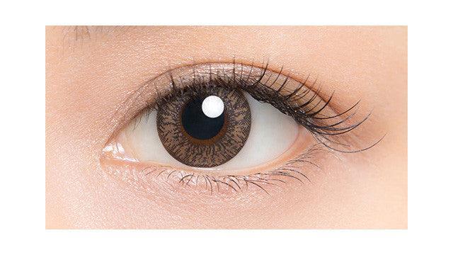 1-Day Ash Brown (10pk)