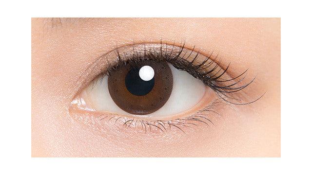 1-Day Veil Brown (10pk)